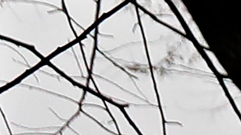 En la ciudad de Nueva York han muerto 776 personas.