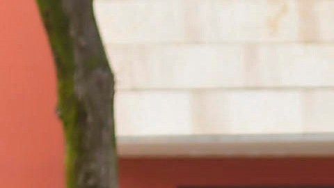 9,268 se curan en su propio domicilio.