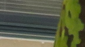 Decimotercera generación de la F-Series