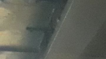 Saltó al túnel con la intención de huir