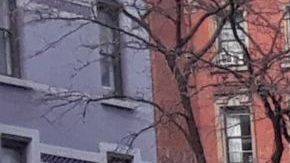 Panorama sombrío en Nueva York