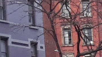 Ya la ciudad está a media marcha
