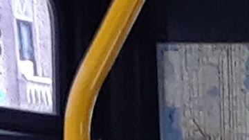 Acceso restringido a los buses