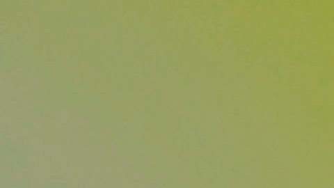 Las sospechosas de estar contagiadas están aisladas en su casa.