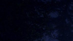 Destinos imperdibles para fanáticos del fenómeno OVNI. *Foto: Artem Kovalev vía Unsplash.