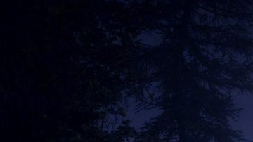 Destinos imperdibles para fanáticos del fenómeno OVNI. *Foto: Artem Kovalev vía Unsplash.