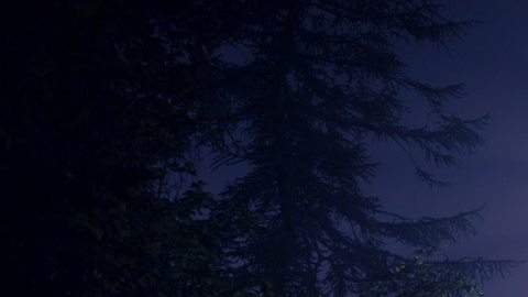 Destinos imperdibles para fanáticos del fenómeno OVNI. *Foto: Artem Kovalev vía Unsplash.