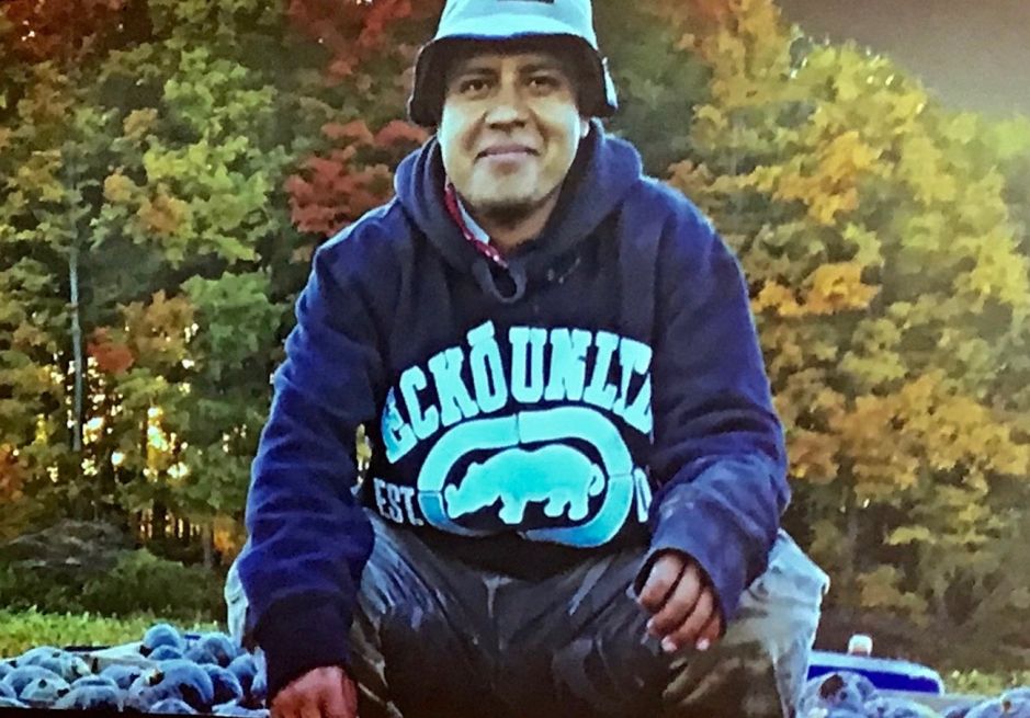 Un jornalero de la cosecha de calabaza en Nueva York