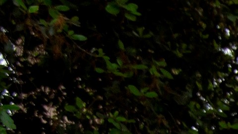 México cerró sus escuelas por el brote de coronavirus.