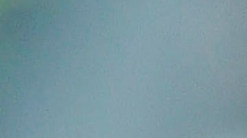 El jugador argentino se excusó con el resto del equipo por su mala conducta.