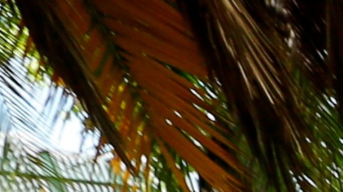 Mario Diaz-Balart becomes first member of Congress to be infected with coronavirus