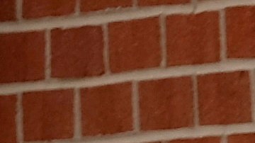 Los resultados finales de Texas saldrán el 13 de marzo.