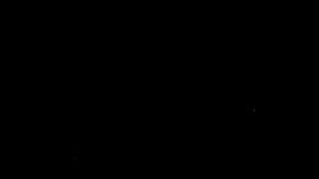 Sanders lidera las encuestas en California.