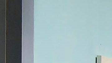 El coronavirus fue calificado como pandemia.