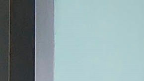 El coronavirus fue calificado como pandemia.