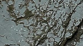 En gran parte del mundo hay campañas para pedir a la gente quedarse en casa.