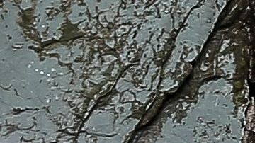 En gran parte del mundo hay campañas para pedir a la gente quedarse en casa.