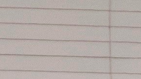 Los centros de ancianos son más vulnerables a las pandemias.