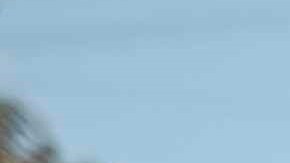 Si no se coloca bien, no tiene efectividad.