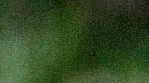 No es el mejor momento para pensar en salir con alguien.