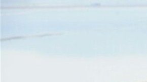 Velos para vestidos de novia.