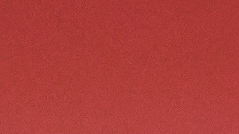 Trudeau acompañará a su esposa en el aislamiento de 14 días