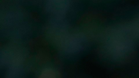 Fauci adelantó que la situación en otoño sería "completamente diferente".