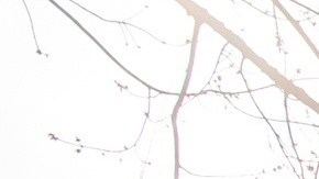 Las dos personas fallecidas estuvieron hospitalizadas en el mismo centro médico.