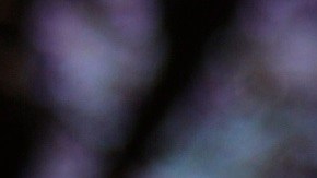 El podcast va dirigido a la audiencia de habla hispana.