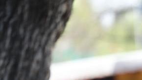 En el primer día de la Fase 3, 113 personas perdieron la vida.