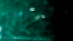 El 80% de los infectados mexicanos son casos importados.