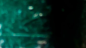 El 80% de los infectados mexicanos son casos importados.