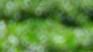 Coronavirus en California