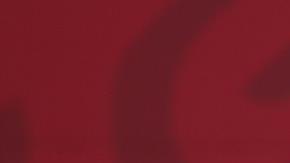 AMLO muestra su billete para la rifa del avión presiencial.