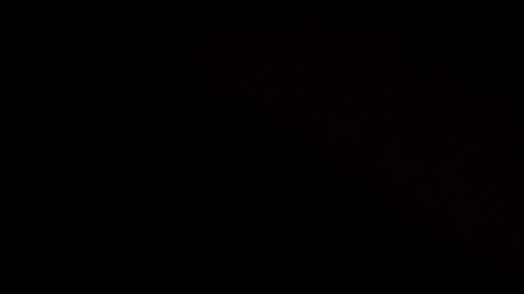 Pelosi considera que no hay confianza en la Casa Blanca.