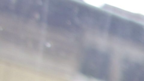 cursos internet hijos escuelas coronavirus Scholastic lecciones escuela empresa niños