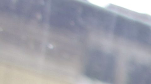 cursos internet hijos escuelas coronavirus Scholastic lecciones escuela empresa niños