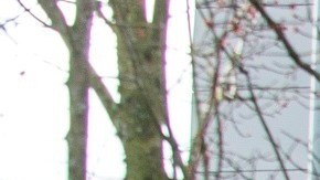 La mayor parte de los contagios se dieron en el centro médico Evergreen.