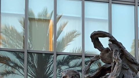 Largas filas se registraron para votar en las elecciones primarias de California. (Paloma Nafarrate/Cortesía)