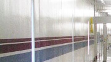 A los presos que fueron liberados les quedaban 30 días o menos para cumplir su condena.