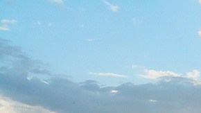 Plantas de Agave en México. Foto: German López/Pixabay