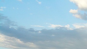 Plantas de Agave en México. Foto: German López/Pixabay