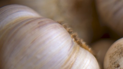 ajos