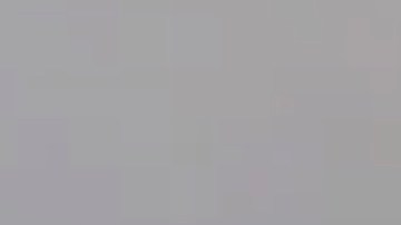 El alcalde de Miami Francis Suárez en una captura de video publicado en redes sociales.