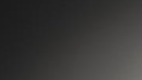 El nuevo Alfa Romeo Giulia GTAm