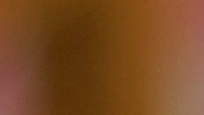 Un minino no debe comer ciertos alimentos aptos para humanos.