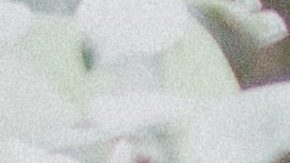 Ellos son los signos más caballerosos.