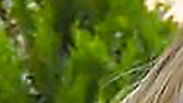 Angelique Boyer y Frida Sofía.