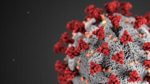 Coronavirus