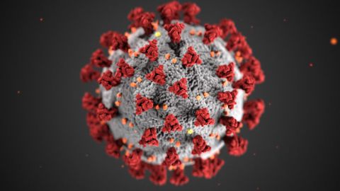 Coronavirus